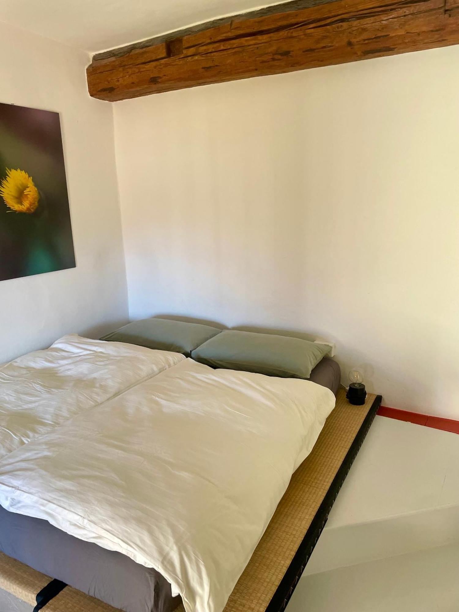 Appartamento Sui Tetti Del Centro Storico Rovereto  Exterior foto